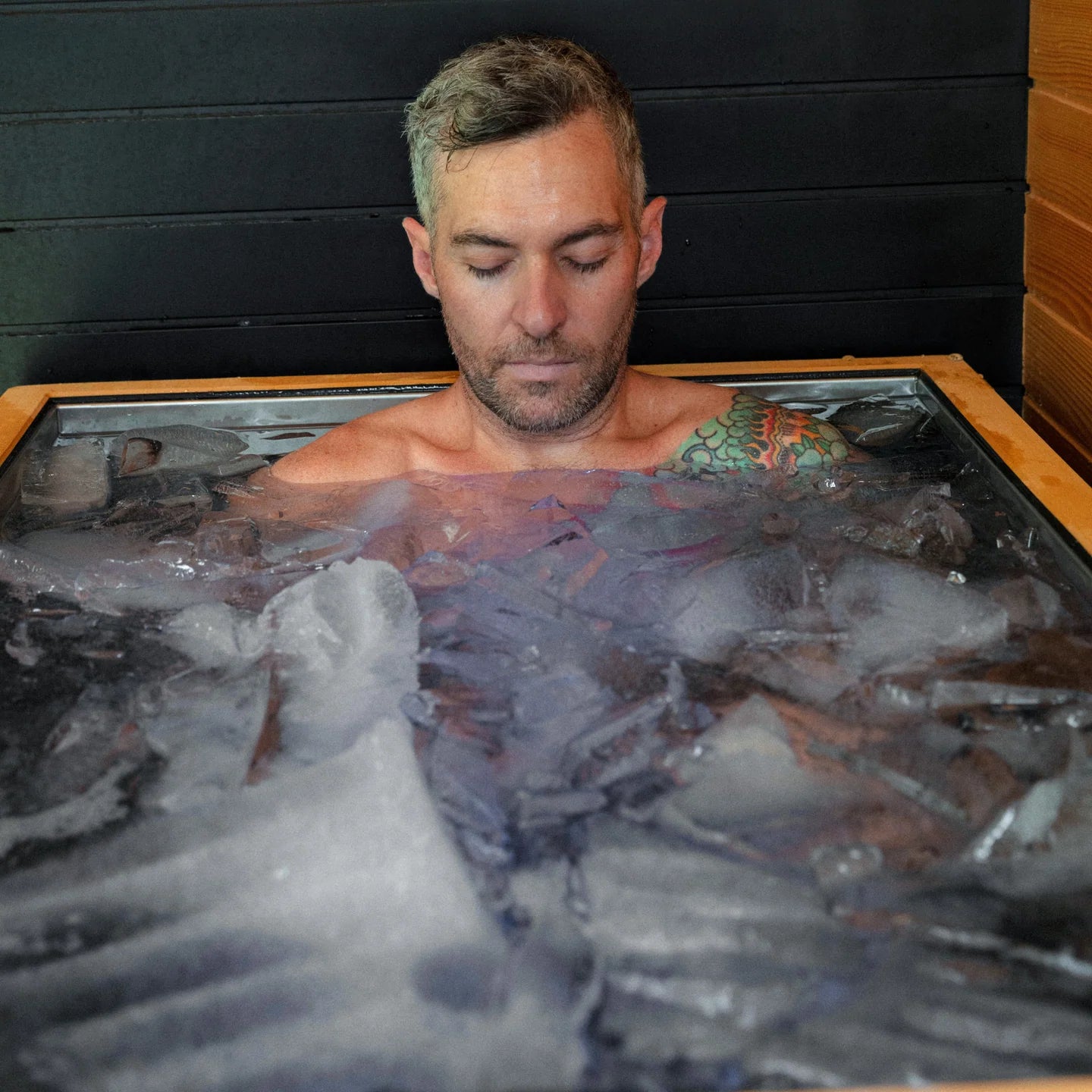 Revive Luxury Cold Plunge product image 7